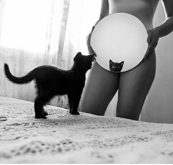 Naked woman and a black cat looking at the mirror