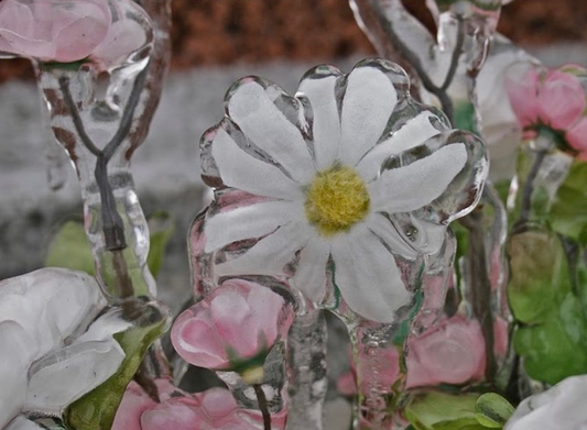 eunoia Winter & Christmas Favorites ⋆❆⋆｡˚